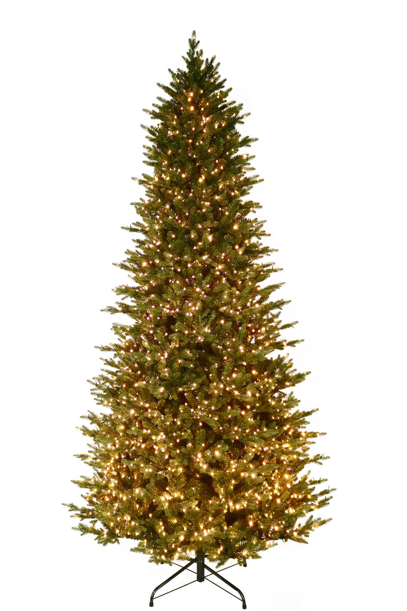 Kensington Fir Warm White & Multi LED 18 Function