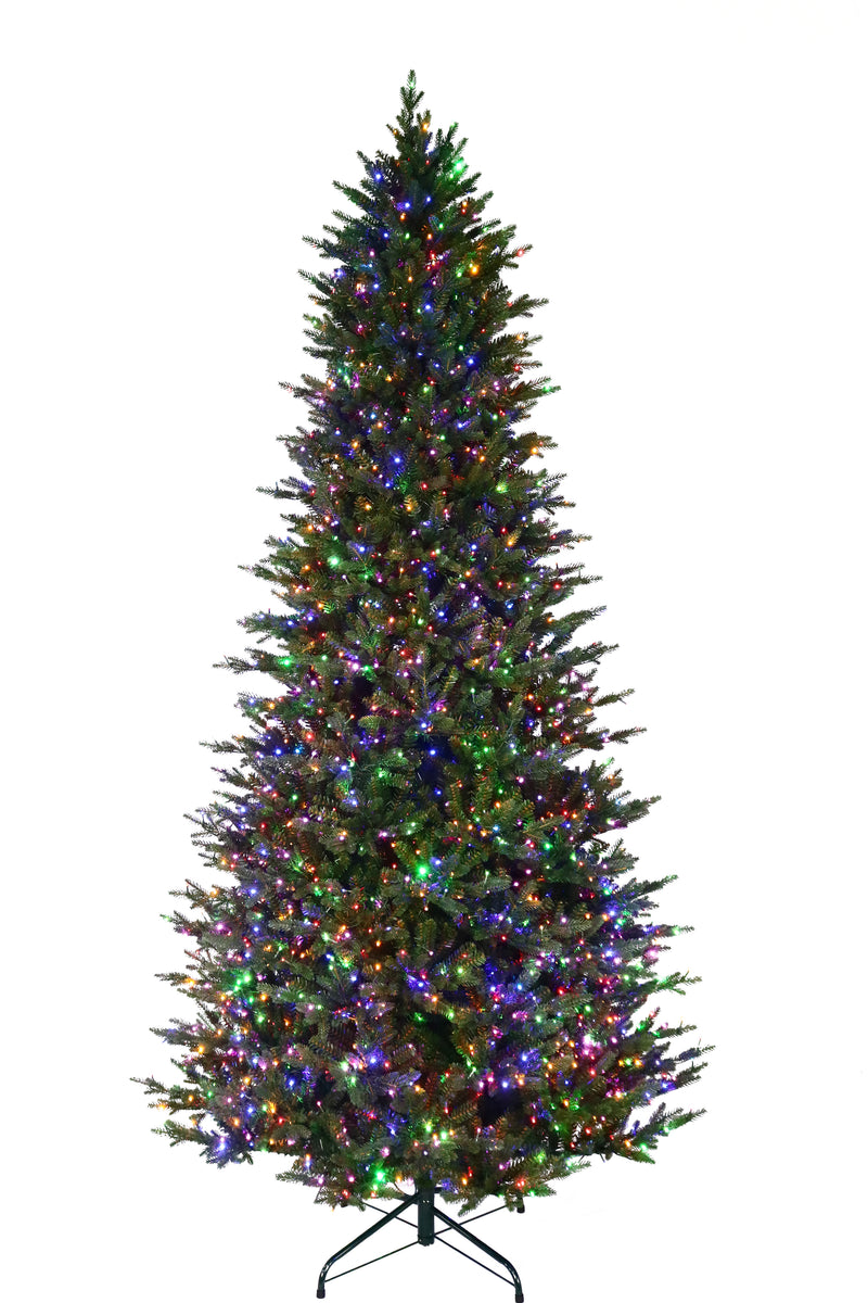 Kensington Fir Warm White & Multi LED 18 Function