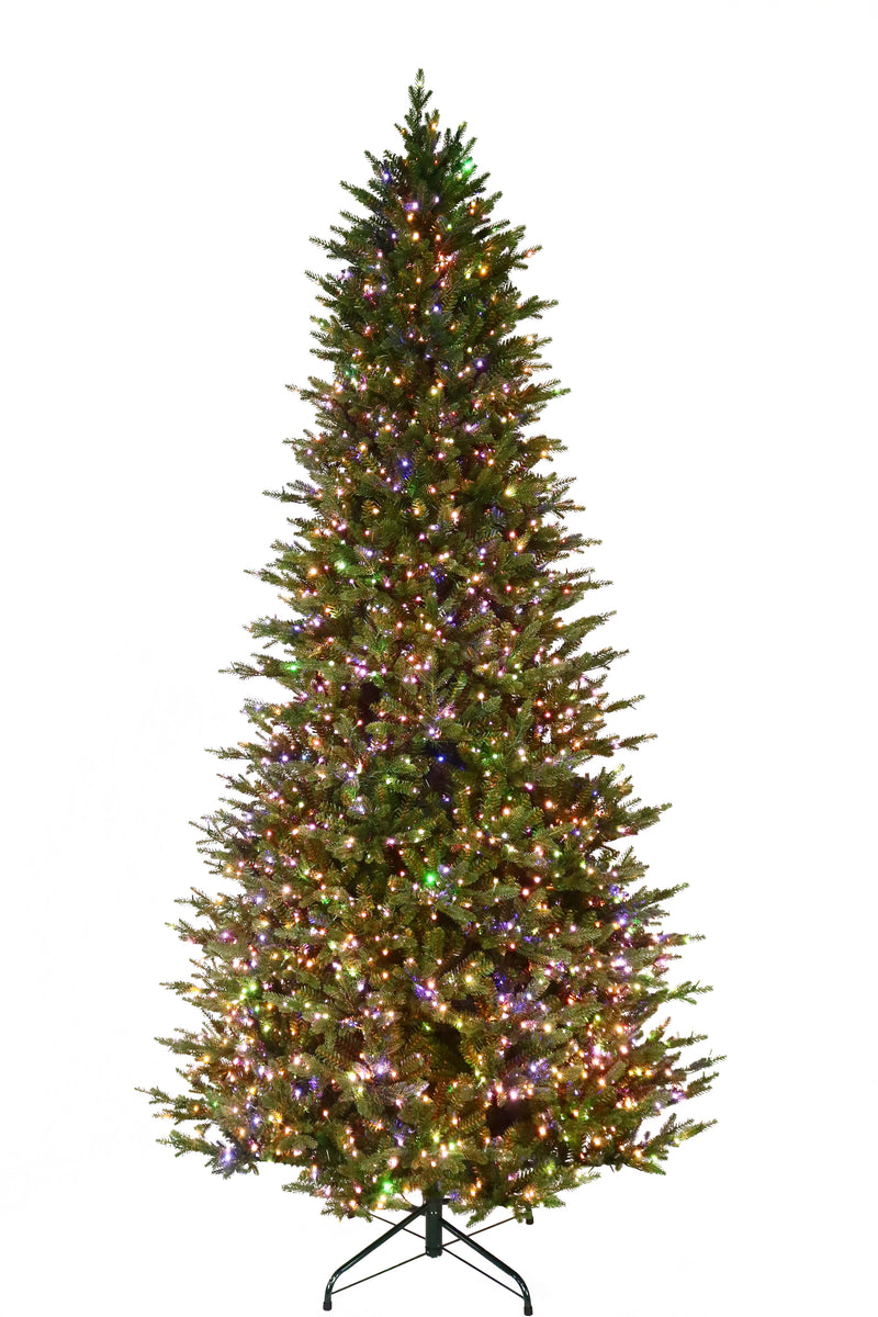 Kensington Fir Warm White & Multi LED 18 Function