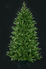 Fraser Supreme Warm White & Multi LED Lights