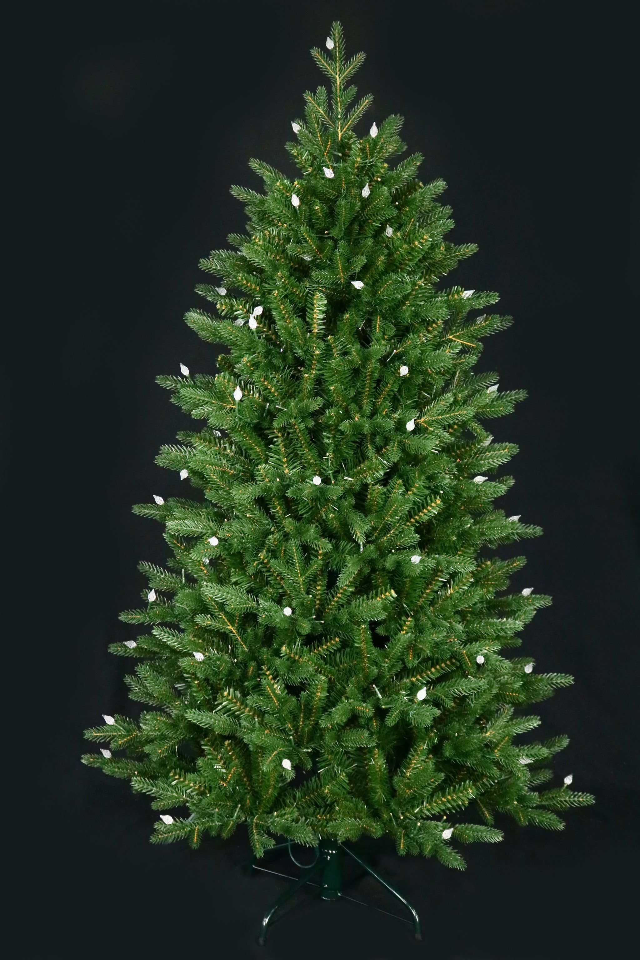 Fraser Supreme Warm White & Multi LED Lights