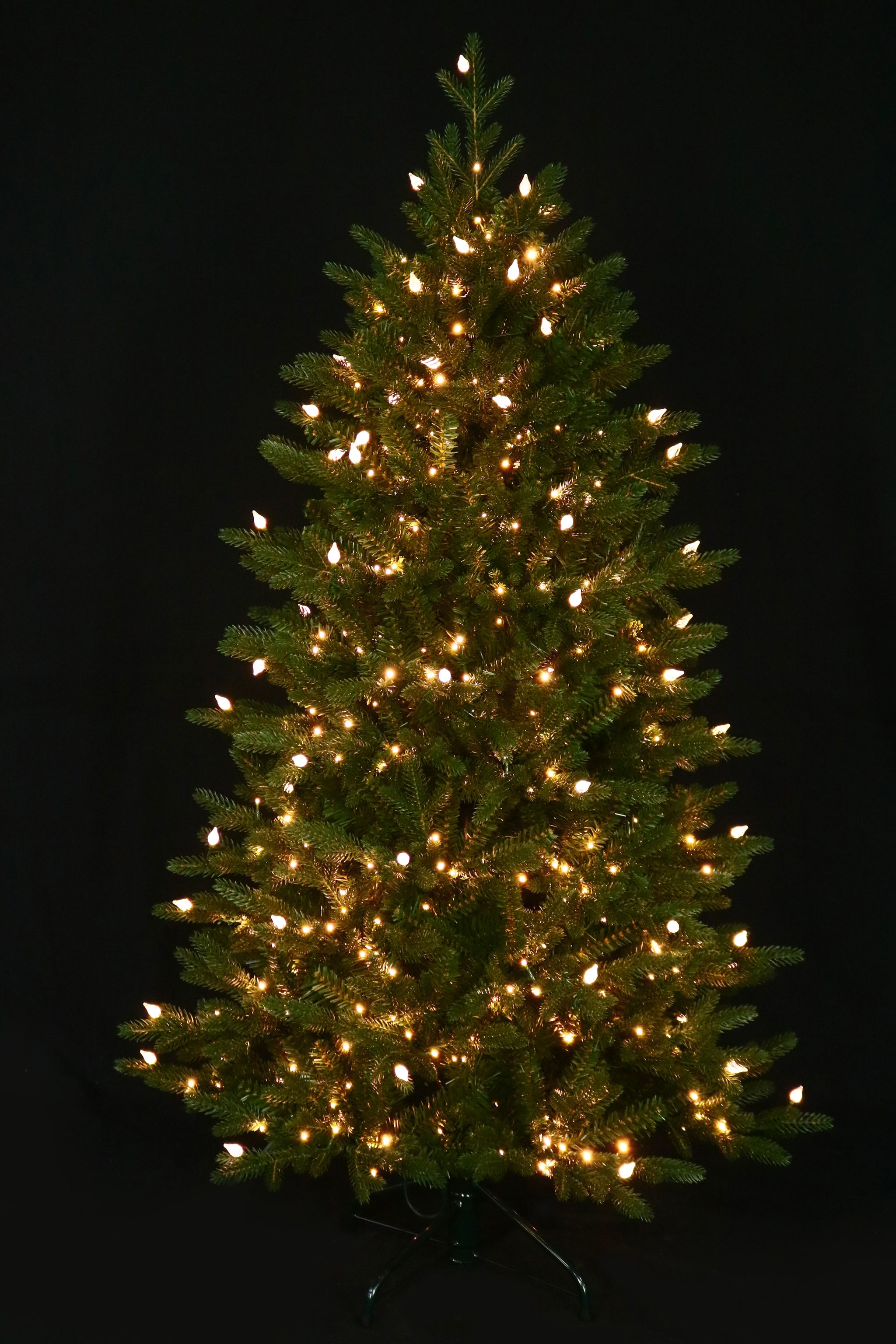 Fraser Supreme Warm White & Multi LED Lights