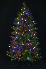 Fraser Supreme Warm White & Multi LED Lights