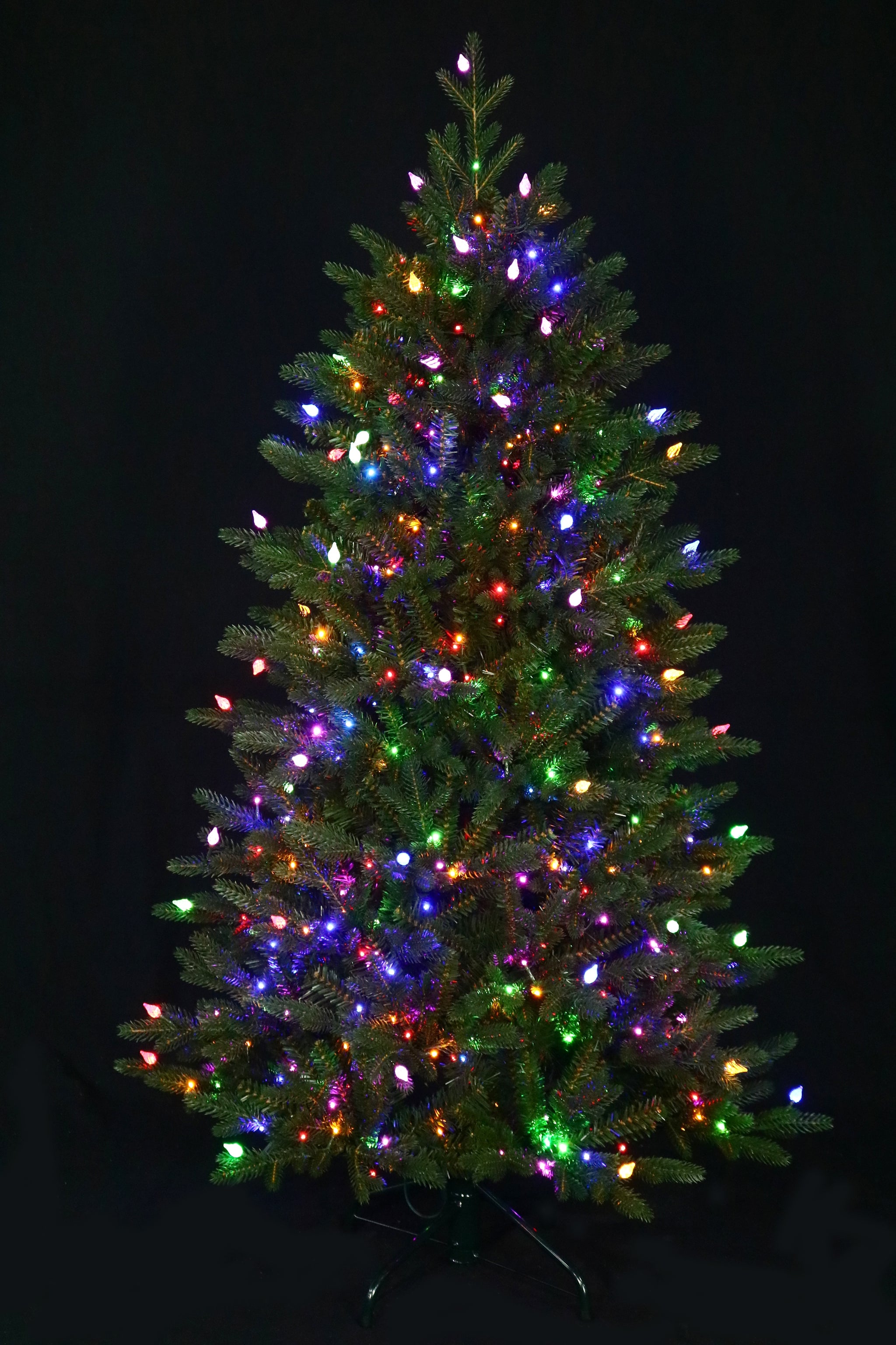 Fraser Supreme Warm White & Multi LED Lights