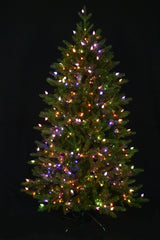 Fraser Supreme Warm White & Multi LED Lights