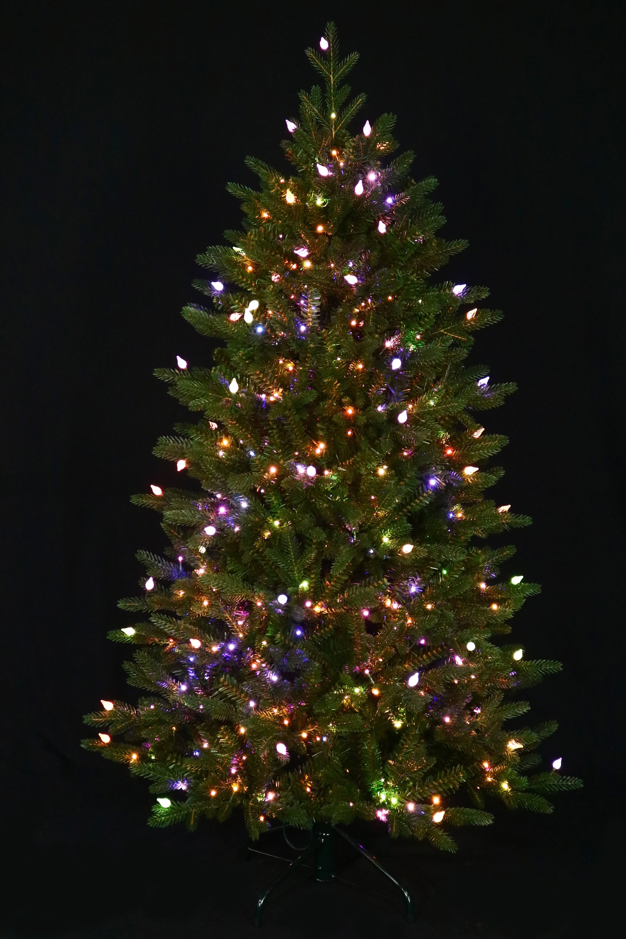 Fraser Supreme Warm White & Multi LED Lights