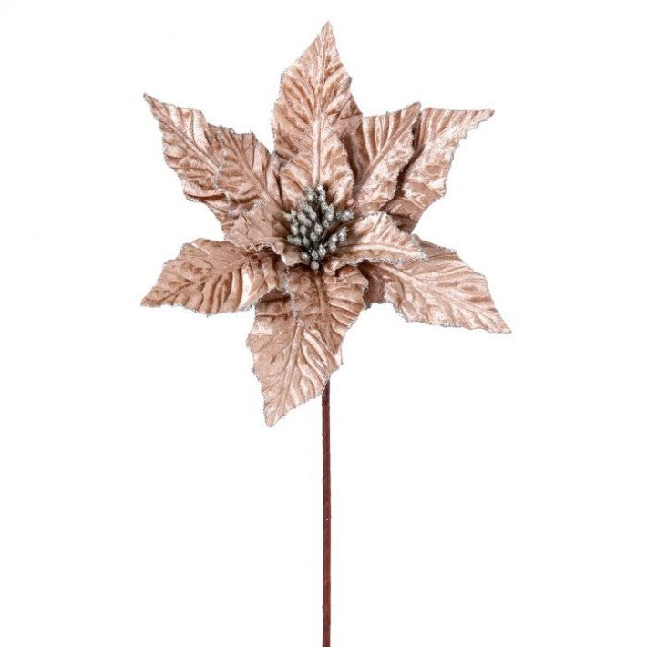 24" Taupe Glitter Edge Velvet Poinsettia Set Of 12