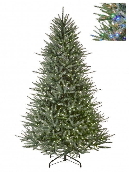 Blue Royale Spruce Tree Pre-Lit Dual Lite LED Lights