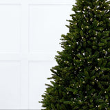 Mountain Spruce Tree Pre-Lit Warm White LED Lights