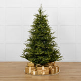 Norway Deluxe Tree Pre Lit Warm White LED Lights