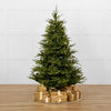 Norway Deluxe Tree Luces LED Blancas Cálidas Preiluminadas
