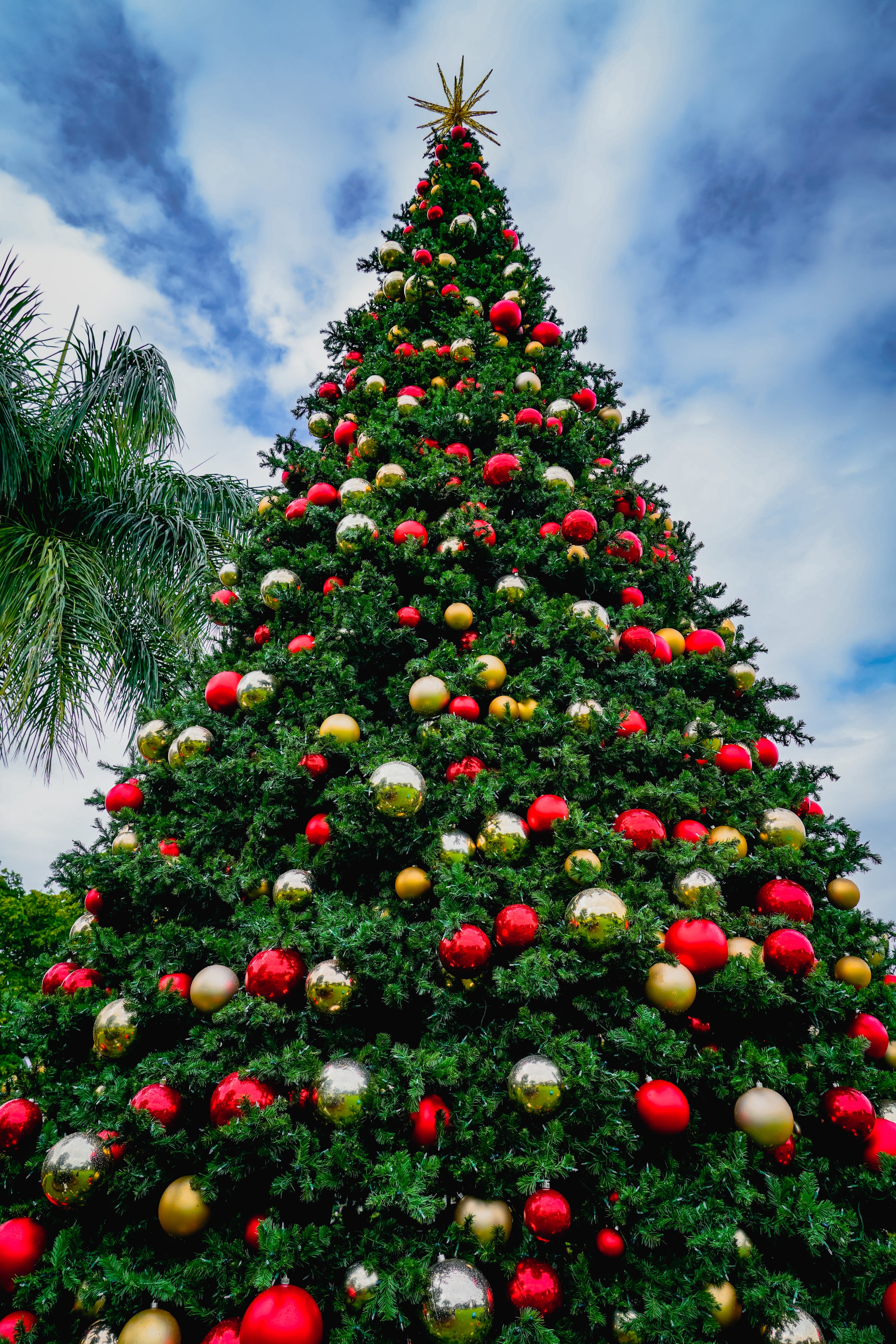 Christmas tree with big on sale lights