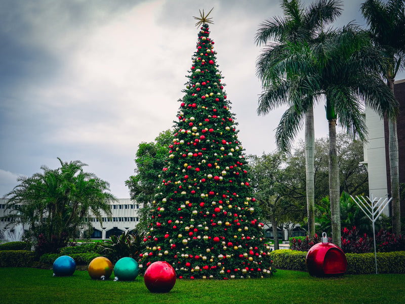 Olympia Tree Pre-Lit Warm White LED Lights