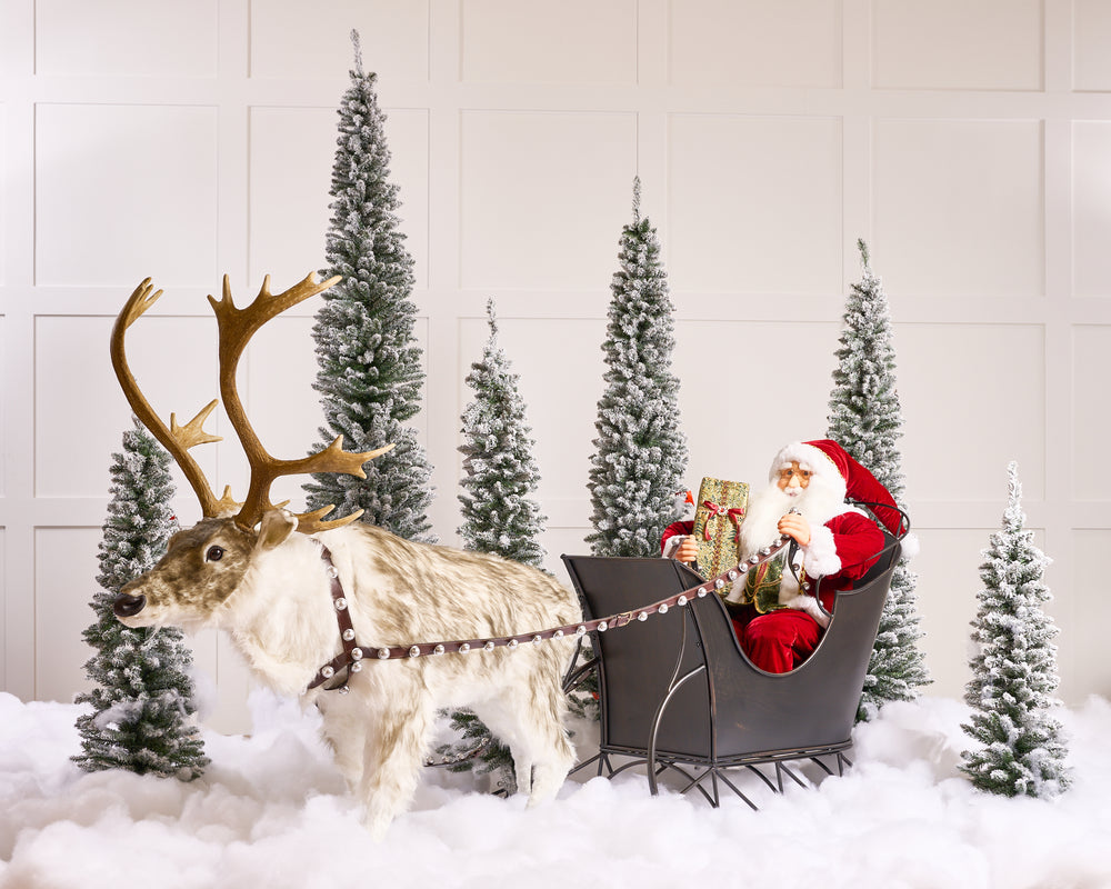 Paquete de pino nevado