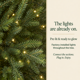 Norway Spruce Tree Pre Lit Warm White Micro LED Lights