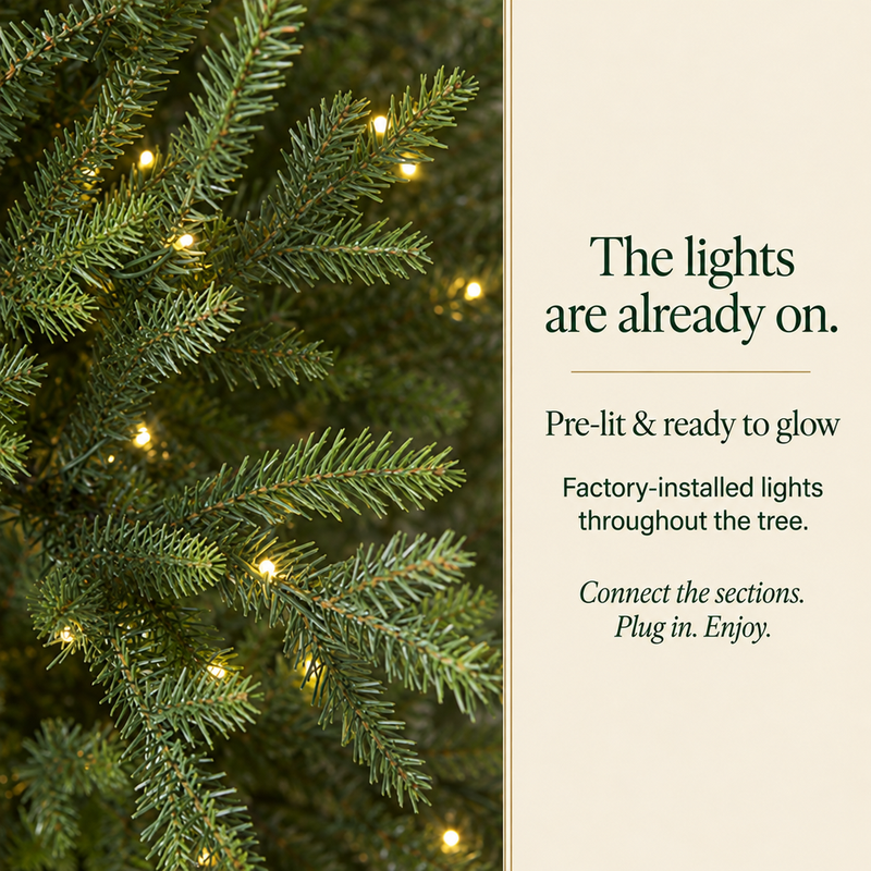 Norway Spruce Tree Pre Lit Warm White Micro LED Lights