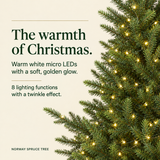 Norway Spruce Tree Pre Lit Warm White Micro LED Lights