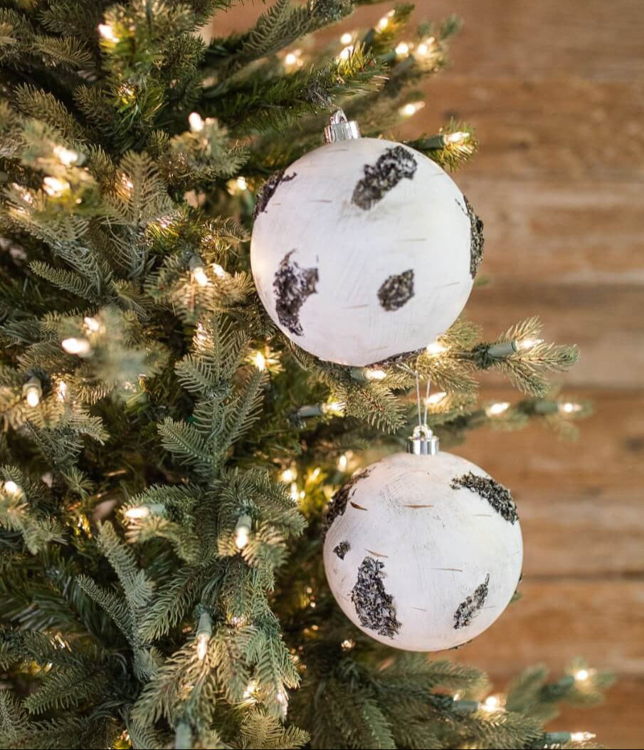 6" Birch Ball Ornament Set Of 2