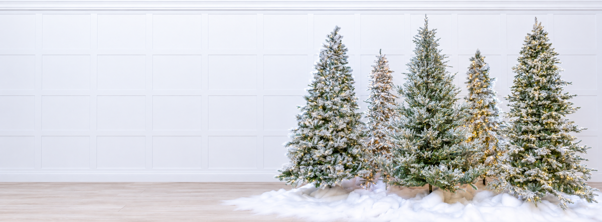 America's Most Loved Trees