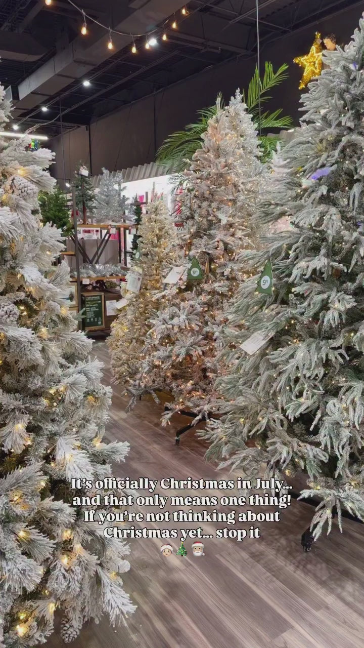 Natural Touch Potted Norway Spruce Tree – The Christmas Palace