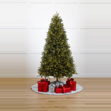 Brighton Spruce Tree Prelit Warm White & Multicolor LED Lights