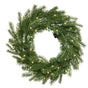 Grandis Wreath  Micro Warm White LED Battery Operated