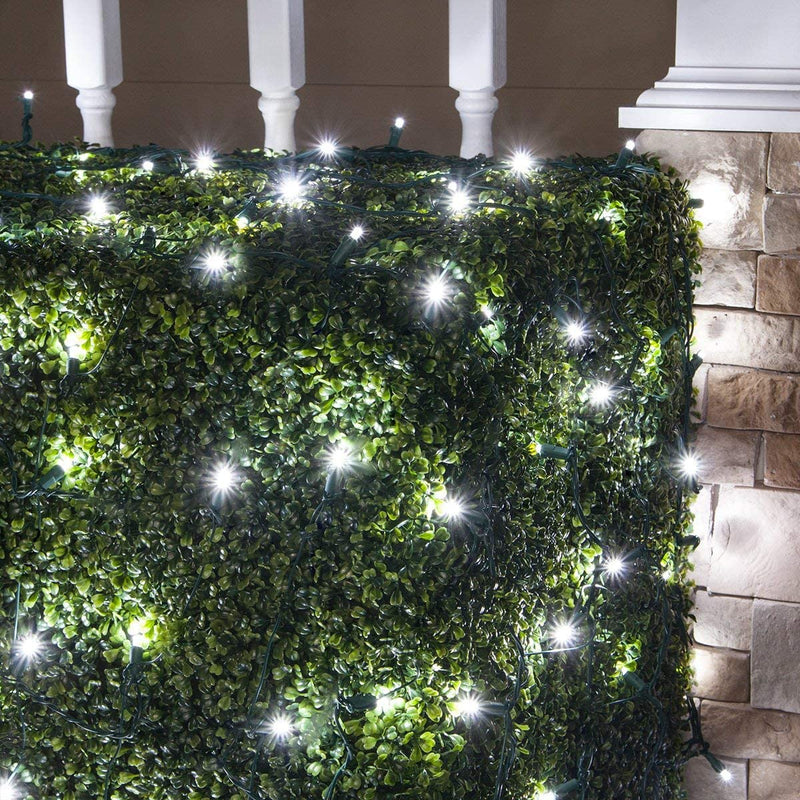 100 luces LED de 5MM tipo red con cable verde